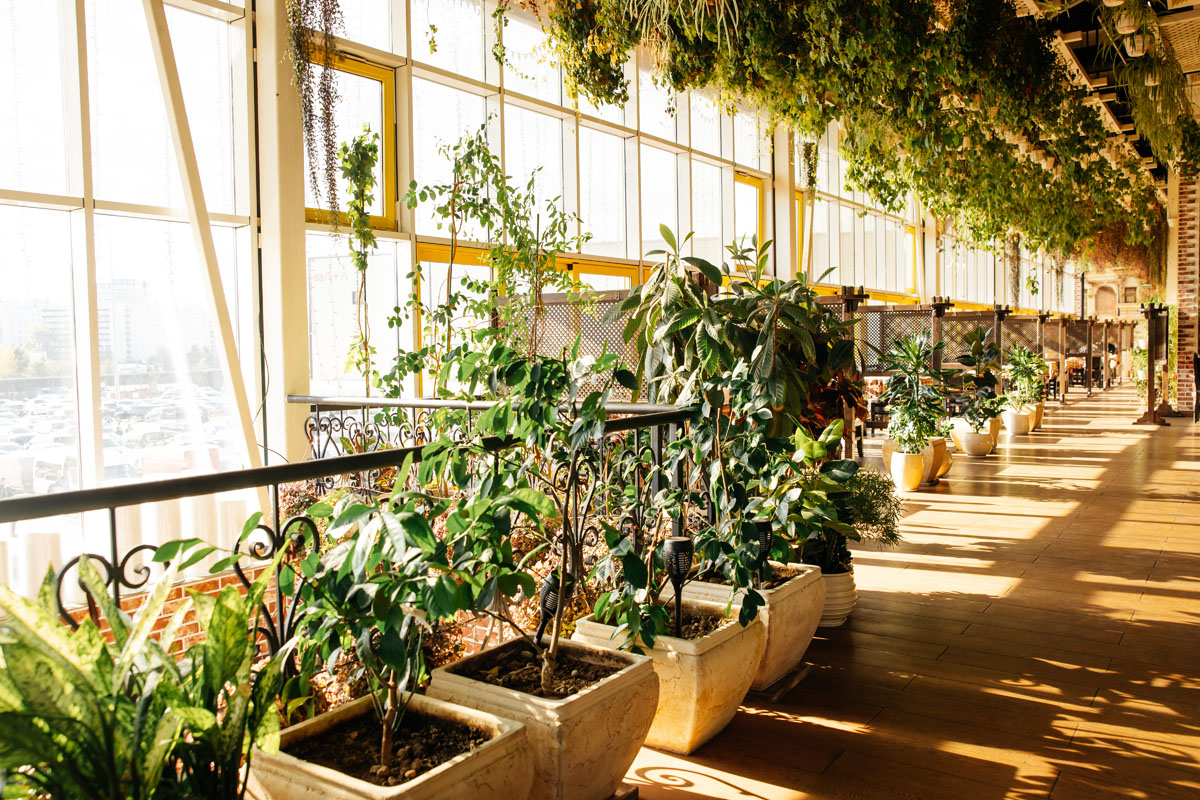 Веранда — фото 4