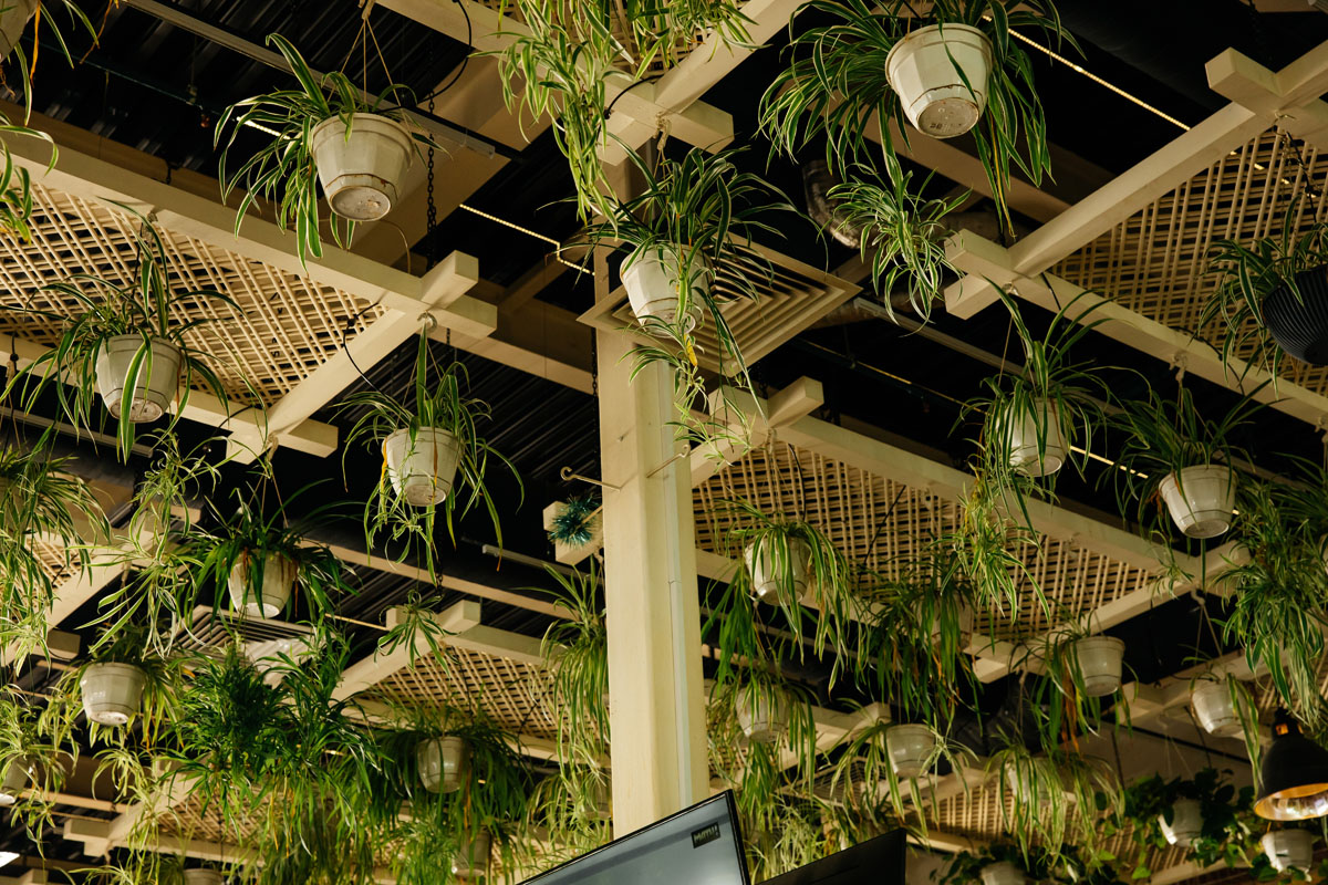 Веранда — фото 10