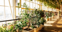 Веранда — фото 4