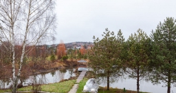 Дом у озера — подробнее о зале