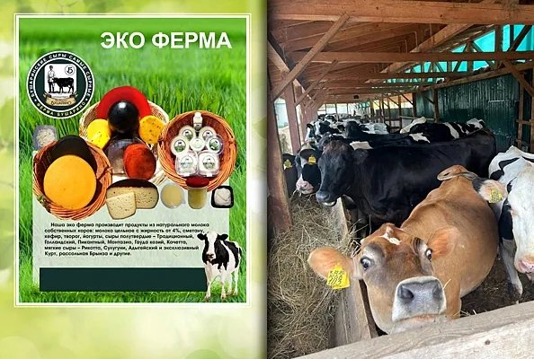 Дом у Озера, Дом у озера — фото