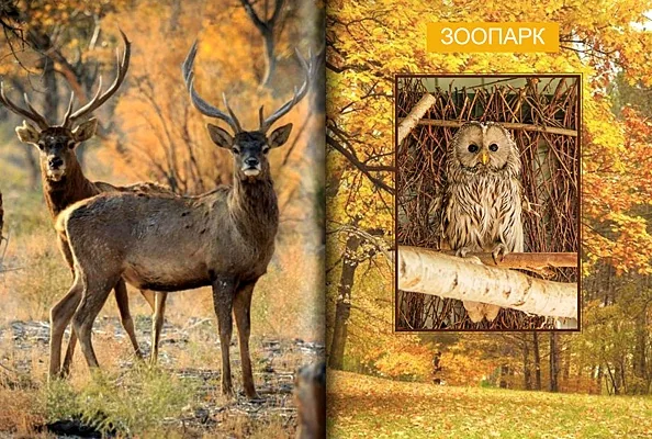 Дом у Озера, Дом у озера — фото