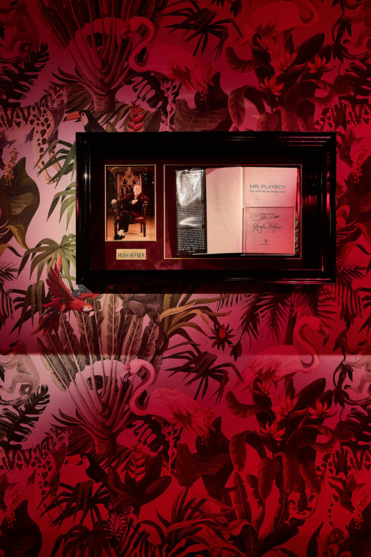 Vip-room — фото 17