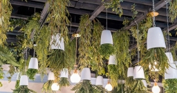 Основной зал — фото 4