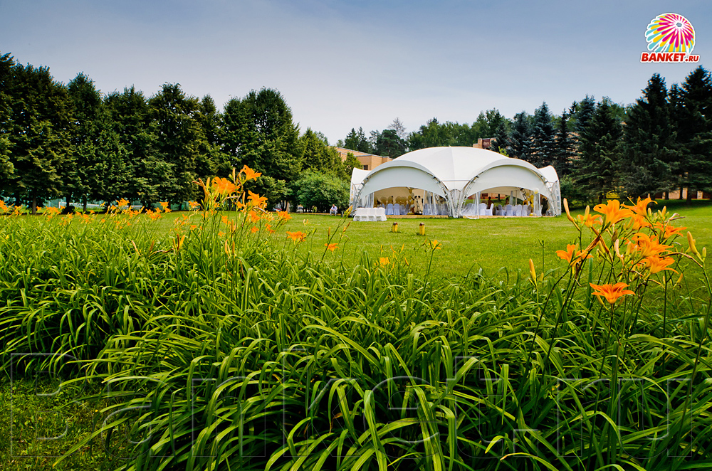 Большой шатер — фото 6