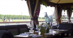 Летняя веранда — подробнее о зале