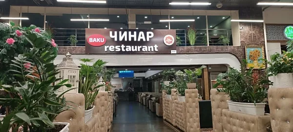 Чинар