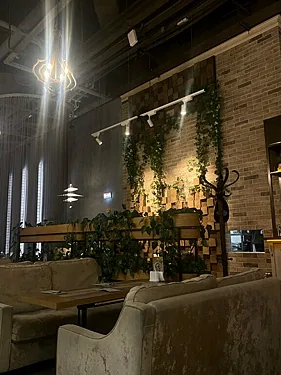 Планета Суши — Планета Суши