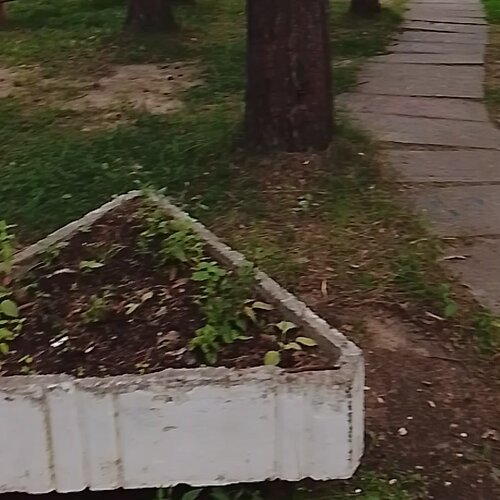 Ресторан дома отдыха "Чайка" — фото 3