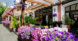 Летняя веранда  — подробнее о зале