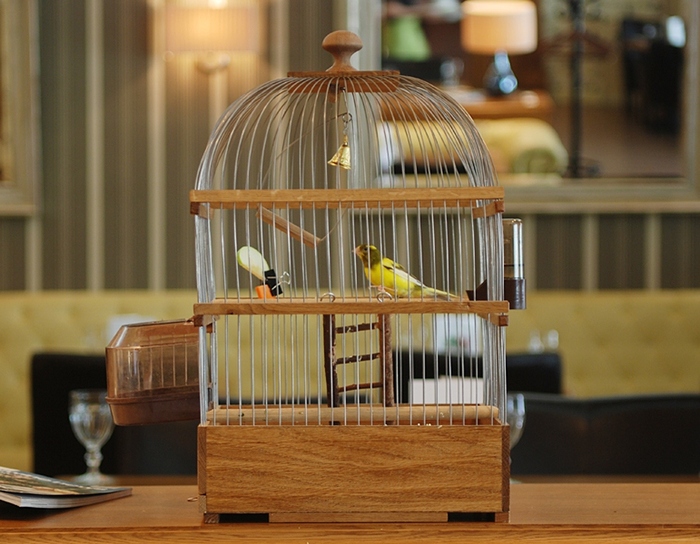 Веранда — BBcafe