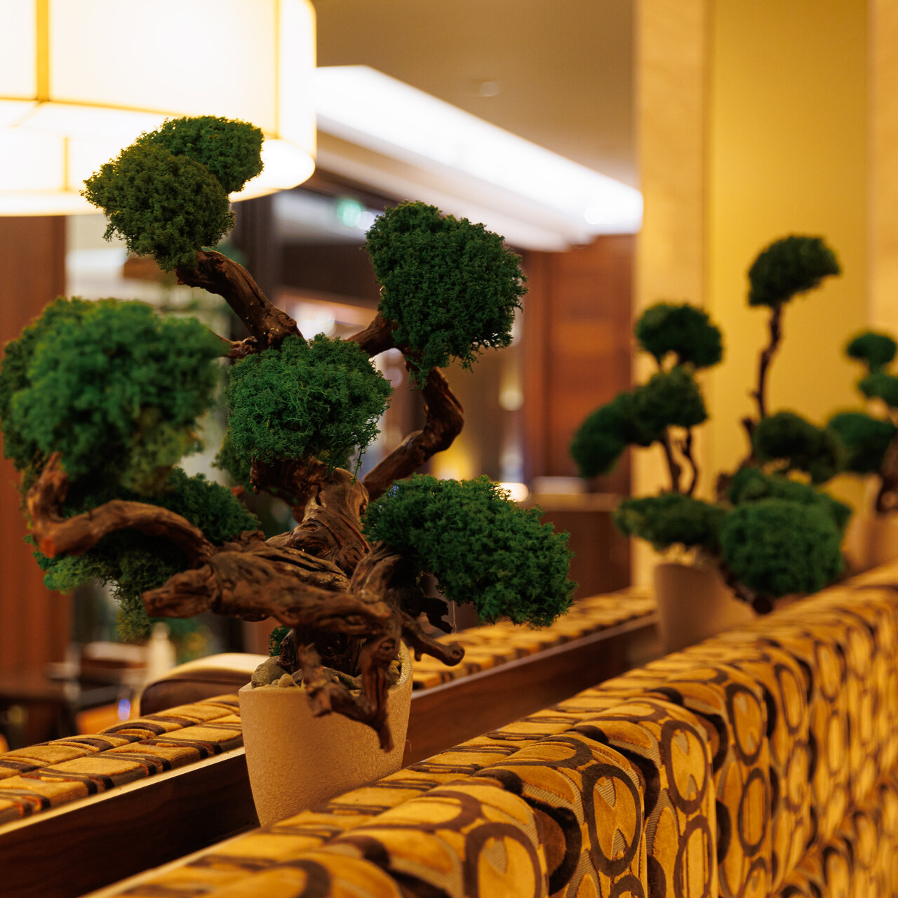New York Steakhouse — New York Steakhouse