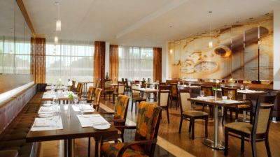 Sheraton Moscow Sheremetyevo Airport Hotel — фото 5