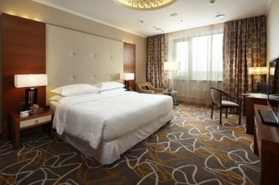 Sheraton Moscow Sheremetyevo Airport Hotel
