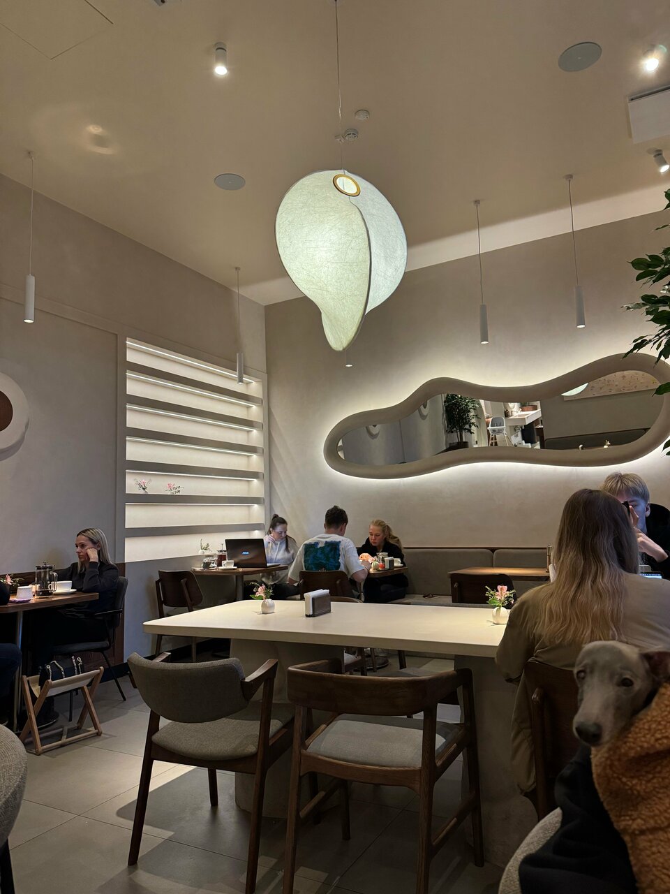 Ciro bistro — Ciro bistro