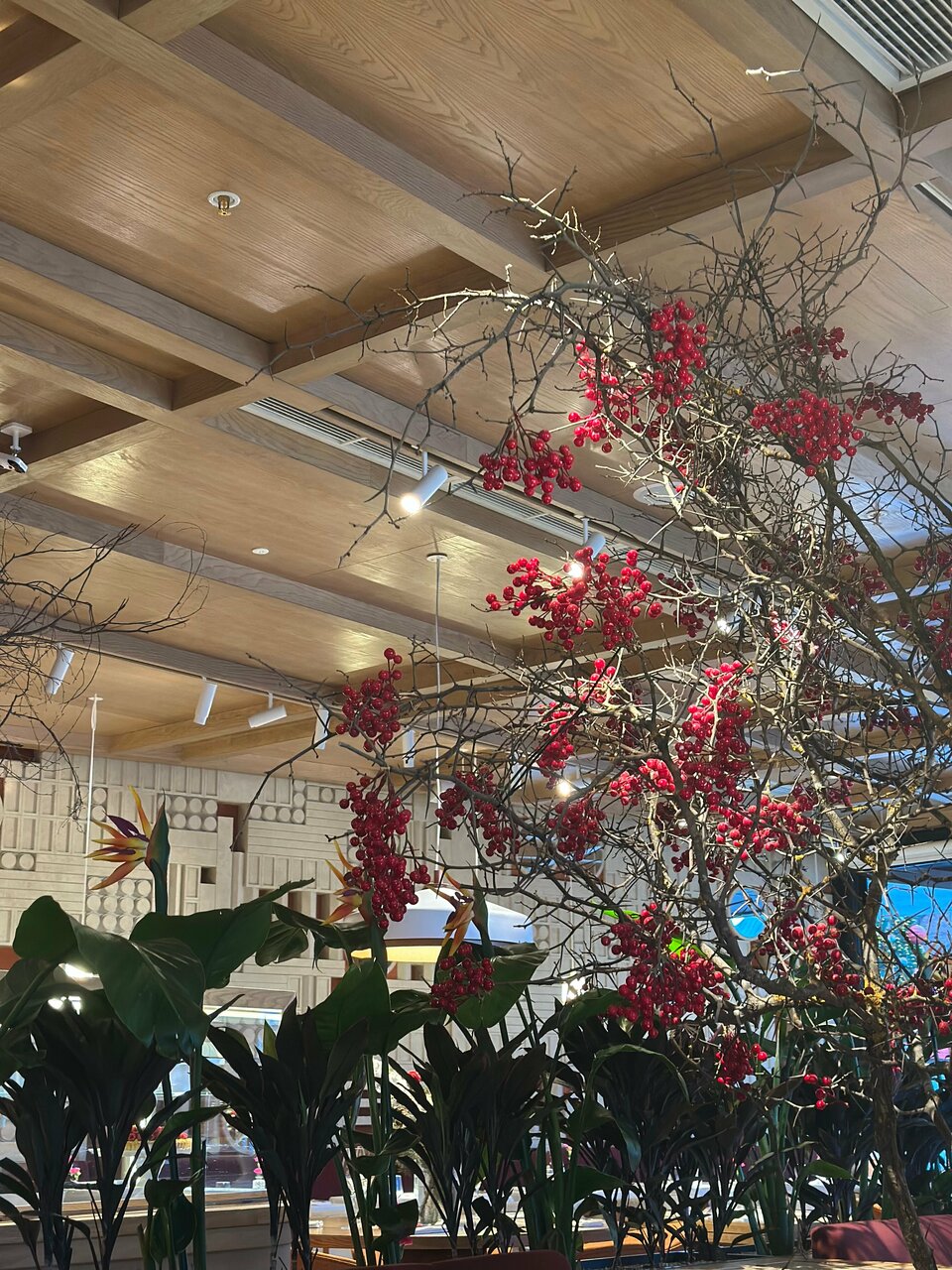 Ava Bistro — Ava Bistro
