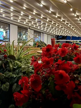 Тануки — Тануки