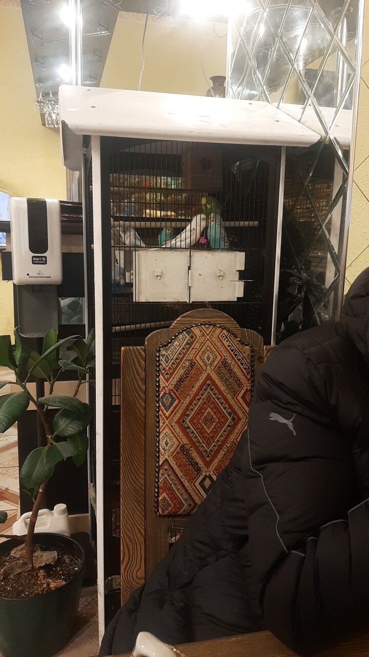 Чайхана Самарканд — Чайхана Самарканд