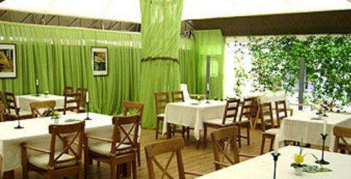 Bio Cafe — Bio Cafe