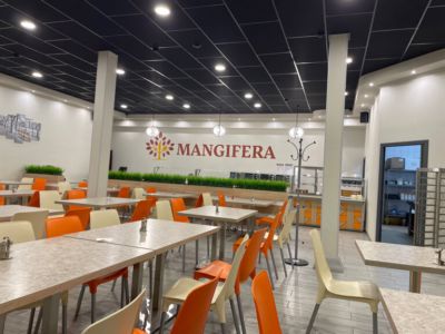 Mangifera
