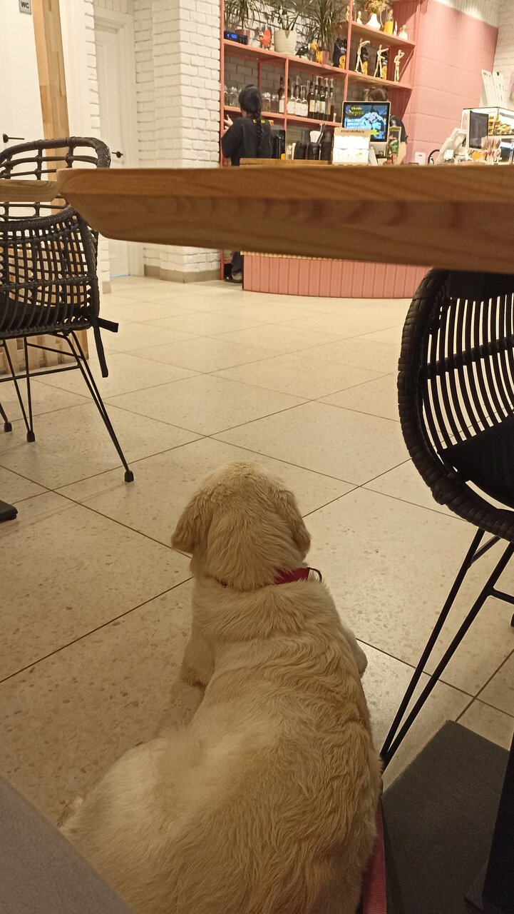 Скалка — Скалка