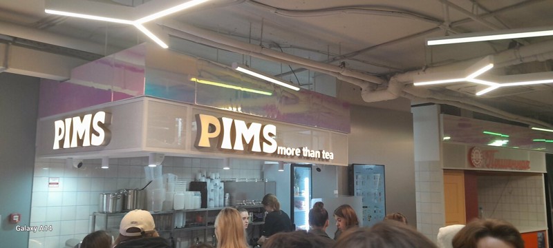 Логотип Pims