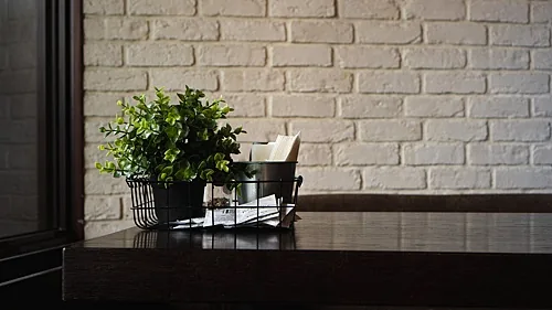 Nef cafe — Nef cafe
