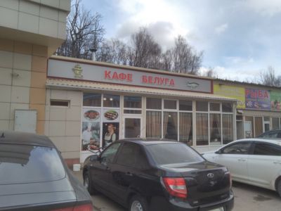 Белуга