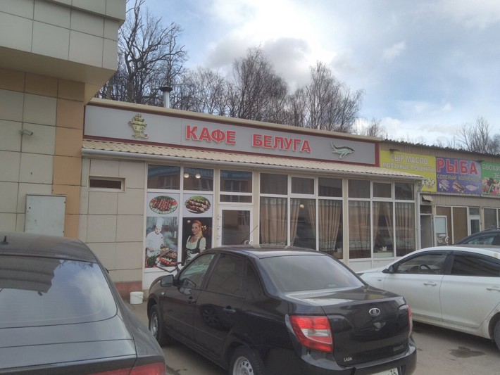 Белуга — интерьер зала