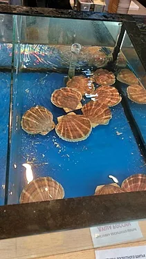 Камчатский Дом — Камчатский Дом