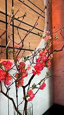 Wooji Kitchen & Bar — Wooji Kitchen & Bar