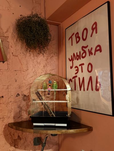Архив