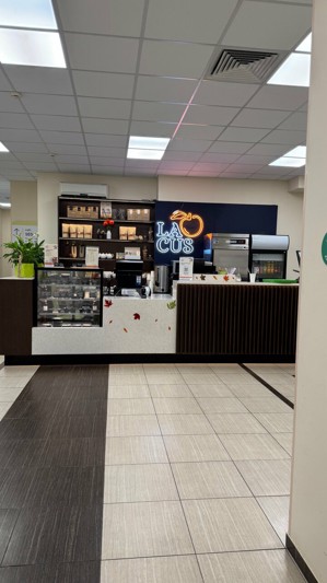 ЛаКус ЛаКус — интерьер зала