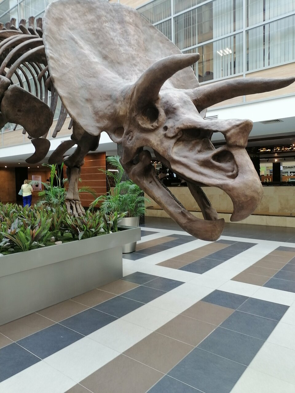 Cafe inn — Cafe inn, фото банкетного зала