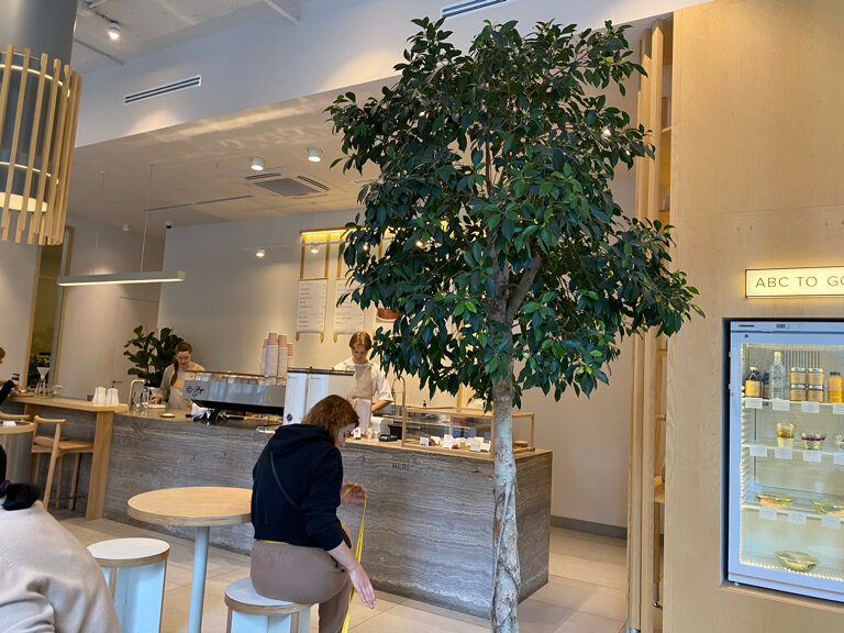 ABC Coffee Roasters — ABC Coffee Roasters