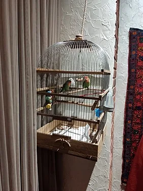 Чаван Чуду — Чаван Чуду