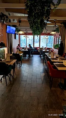 Лоза, Лоза — фото