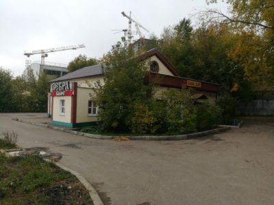 Зебра
