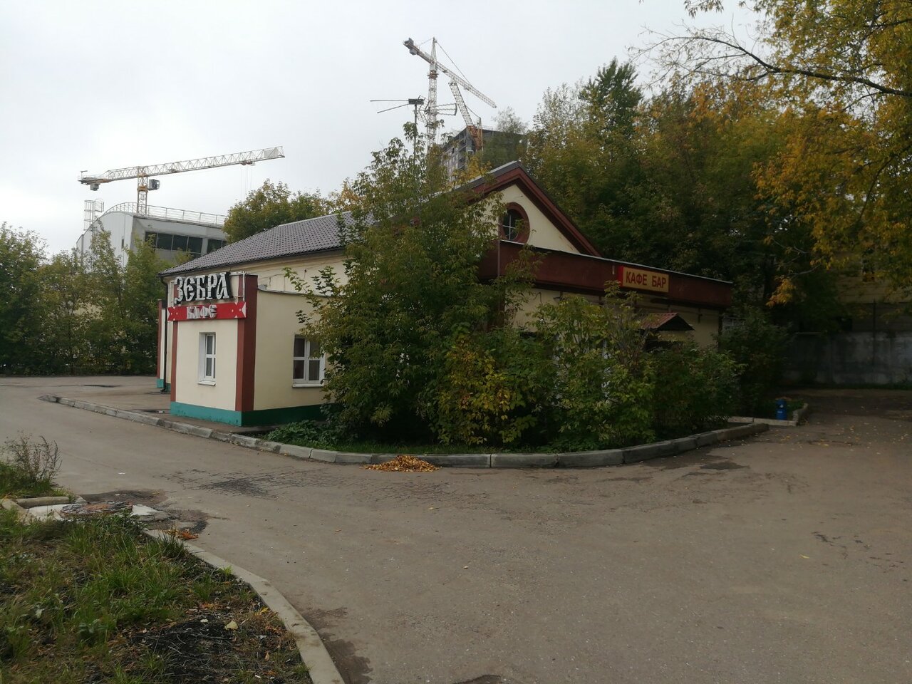 Зебра — Зебра