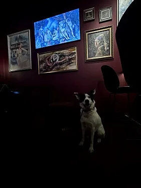 Backstage bar, Москва — фото площадки