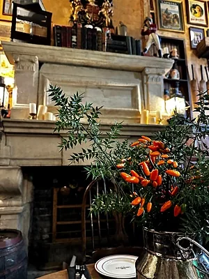 The Libertines pub, Зал — фото