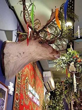 Настоишная, Москва — фото площадки