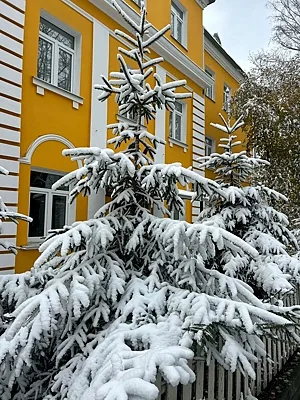 Orange House, Зал — фото