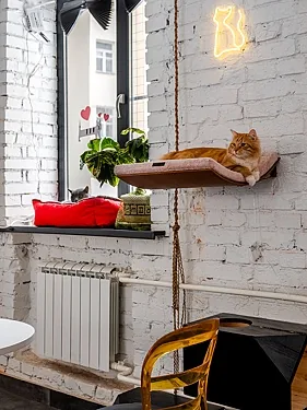 Котобюро, Москва — фото площадки