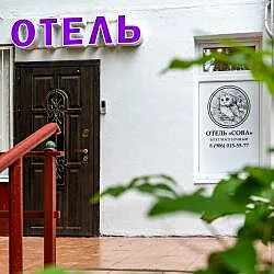Сова, Зал — фото