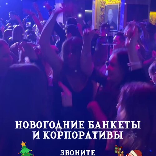 Зал — Собаки в тумане