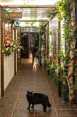 Беседка, Москва — фото площадки