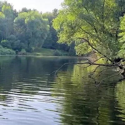 Дом у реки, Зал — фото