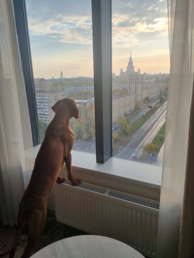 Зал