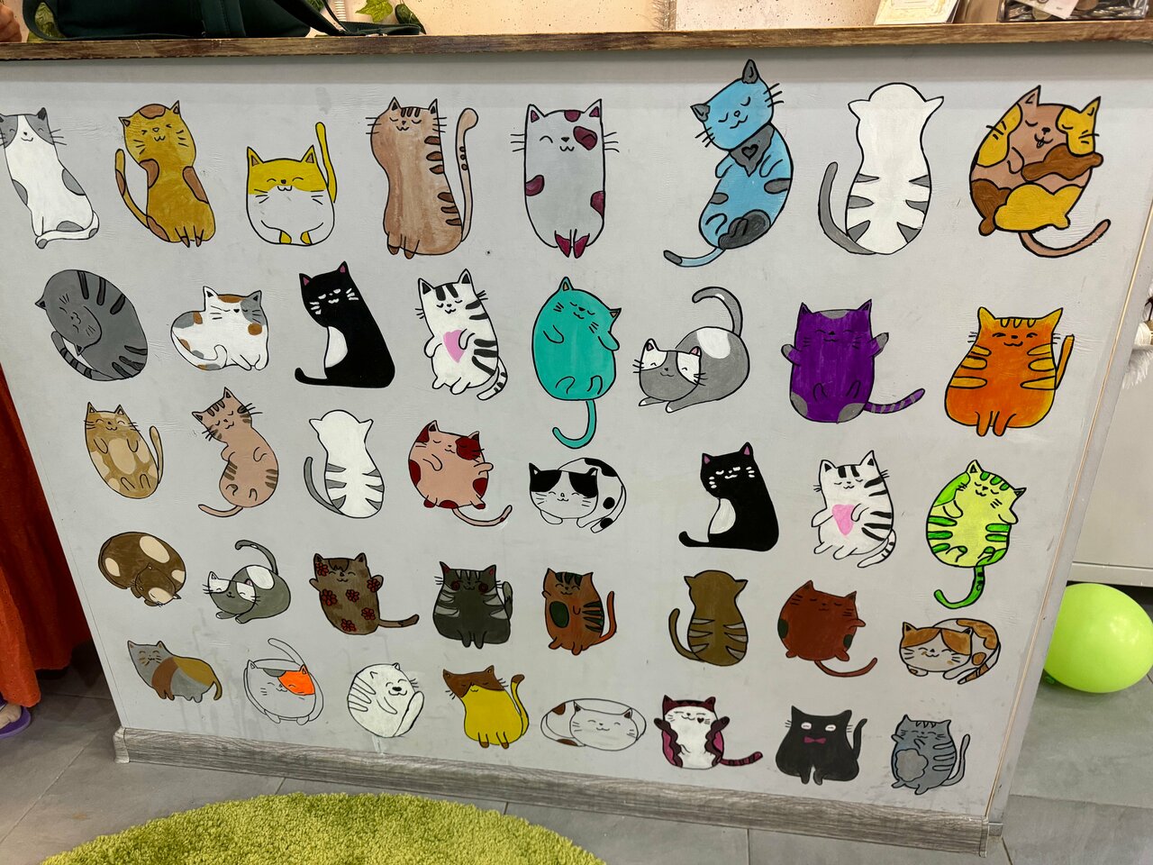 Зал — Котомания
